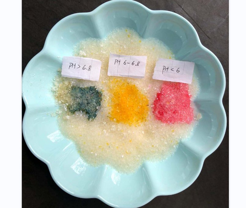 PH health indicator cat litter